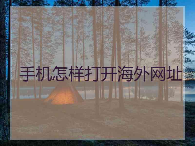 手机怎样打开海外网址