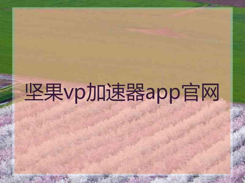 坚果vp加速器app官网