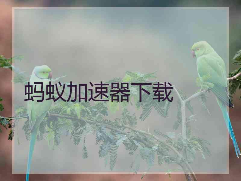 蚂蚁加速器下载