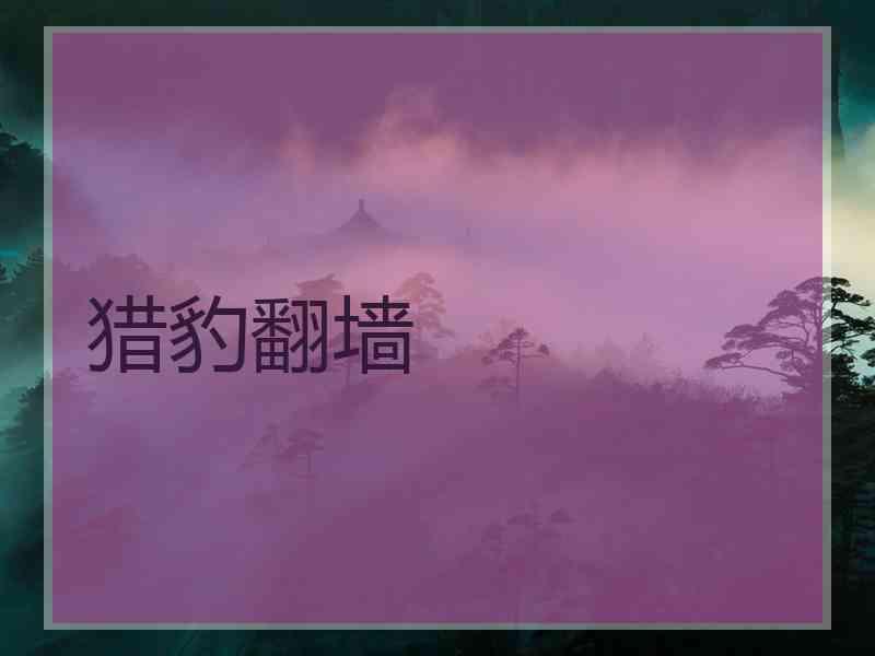 猎豹翻墙