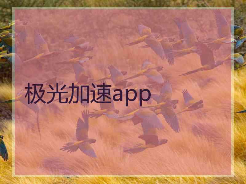 极光加速app