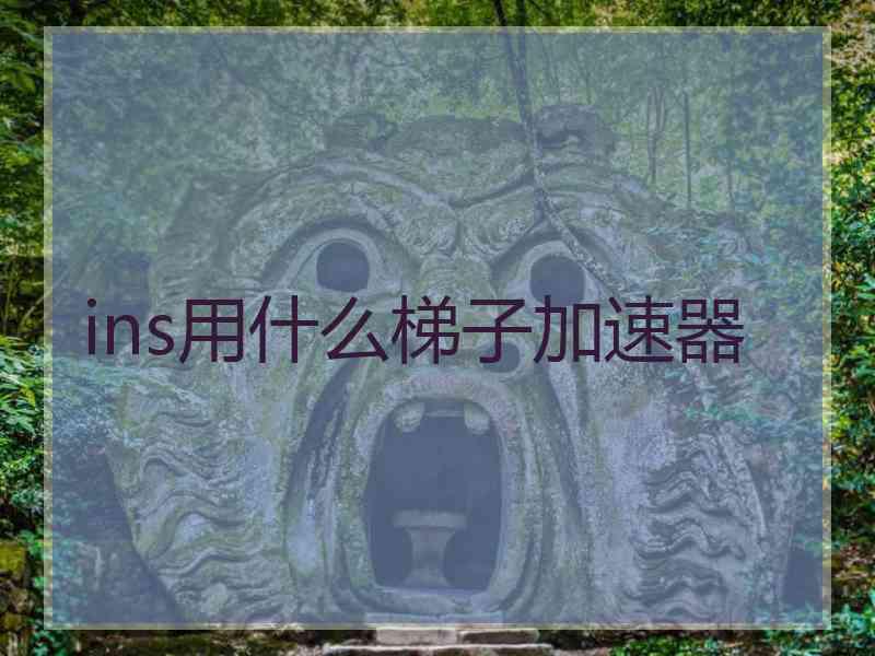 ins用什么梯子加速器