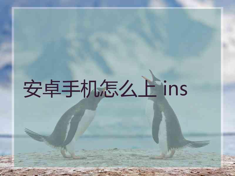 安卓手机怎么上 ins