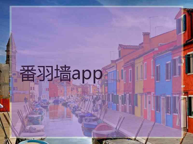 番羽墙app