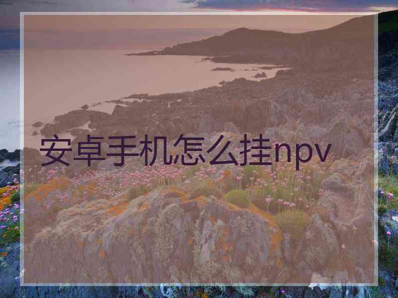 安卓手机怎么挂npv