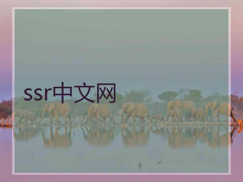 ssr中文网