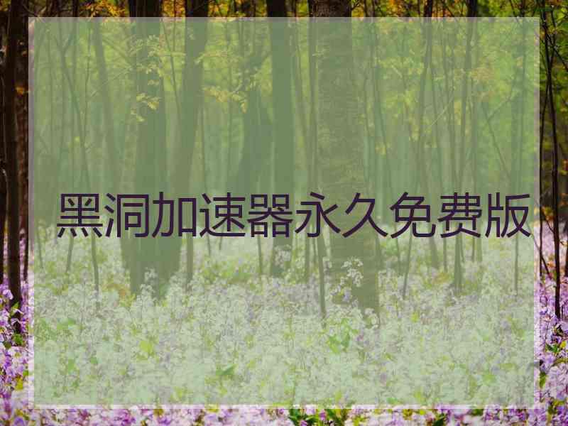 黑洞加速器永久免费版
