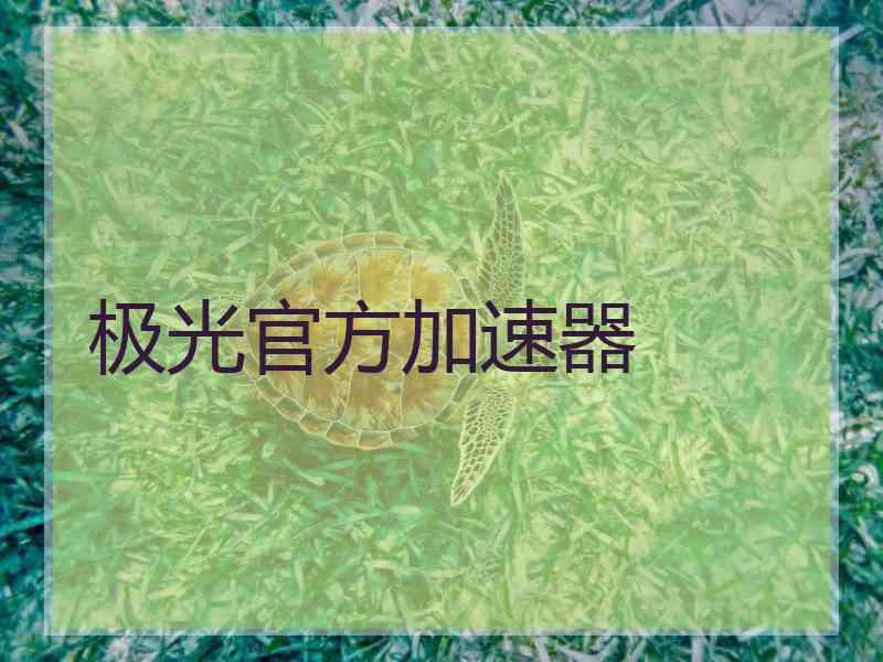 极光官方加速器