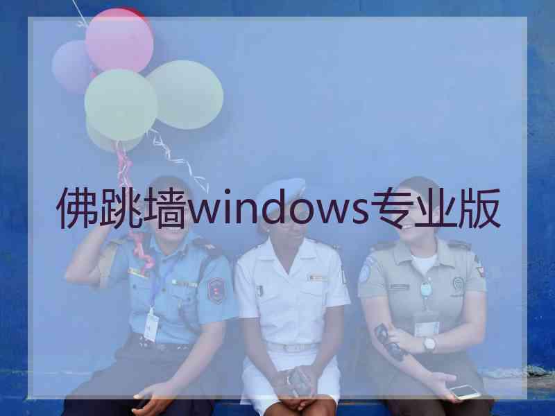 佛跳墙windows专业版
