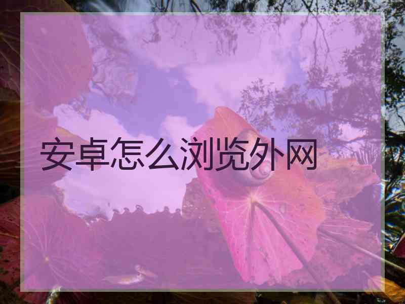 安卓怎么浏览外网