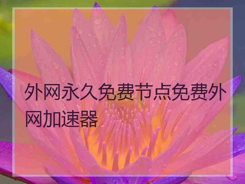 外网永久免费节点免费外网加速器
