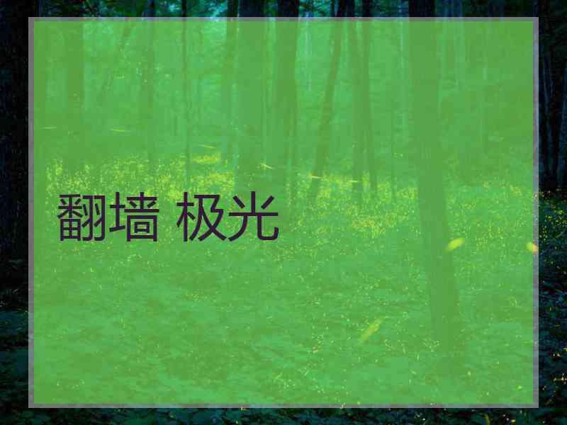 翻墙 极光