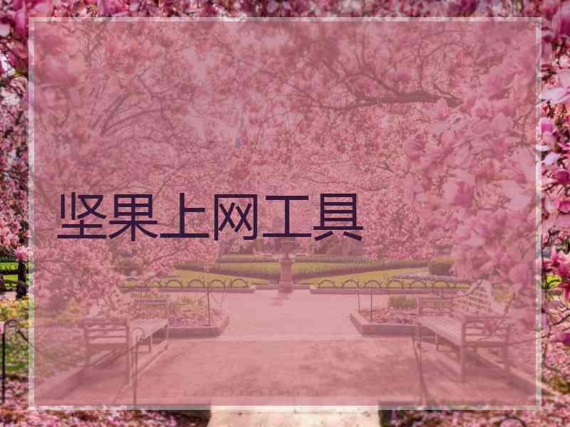 坚果上网工具