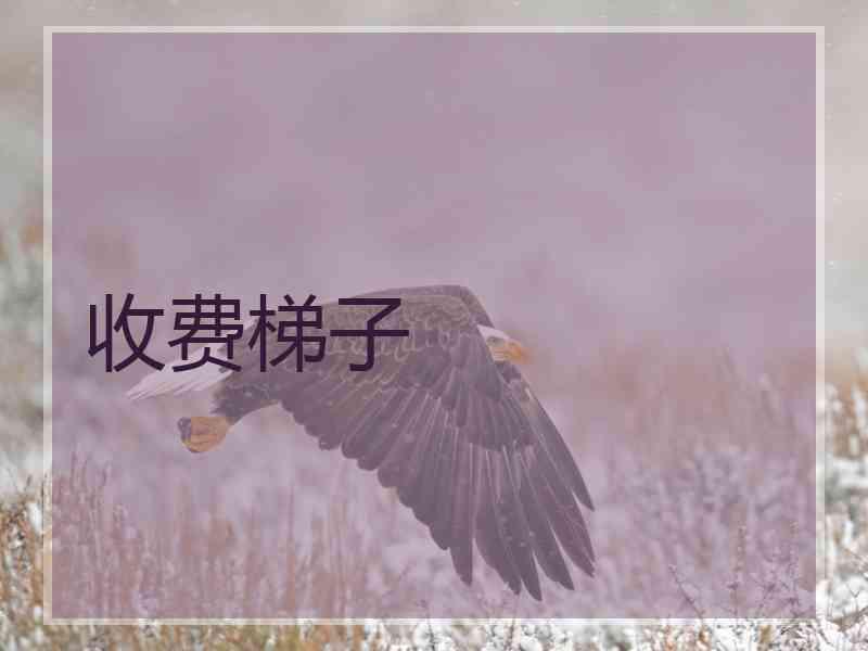 收费梯子