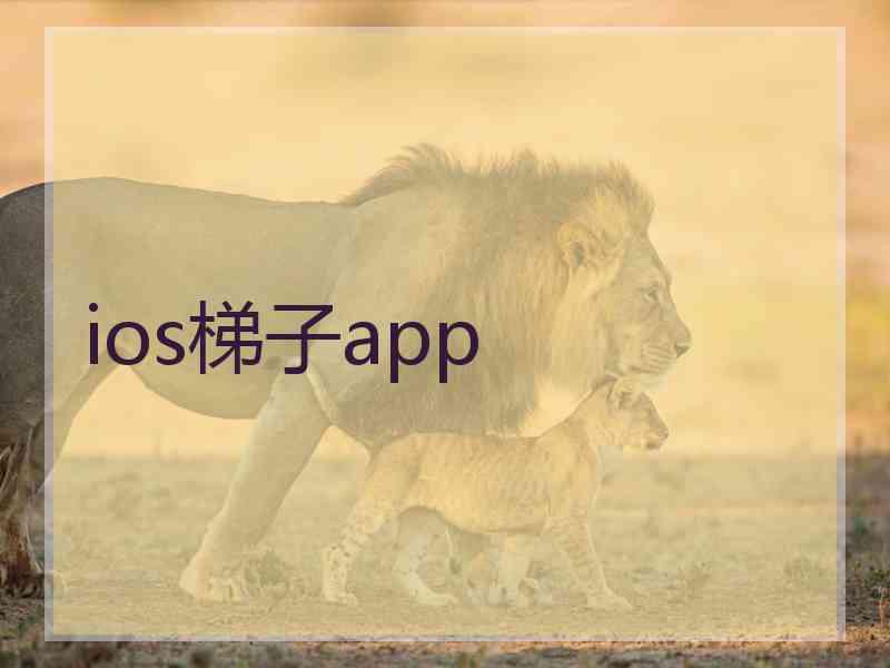ios梯子app