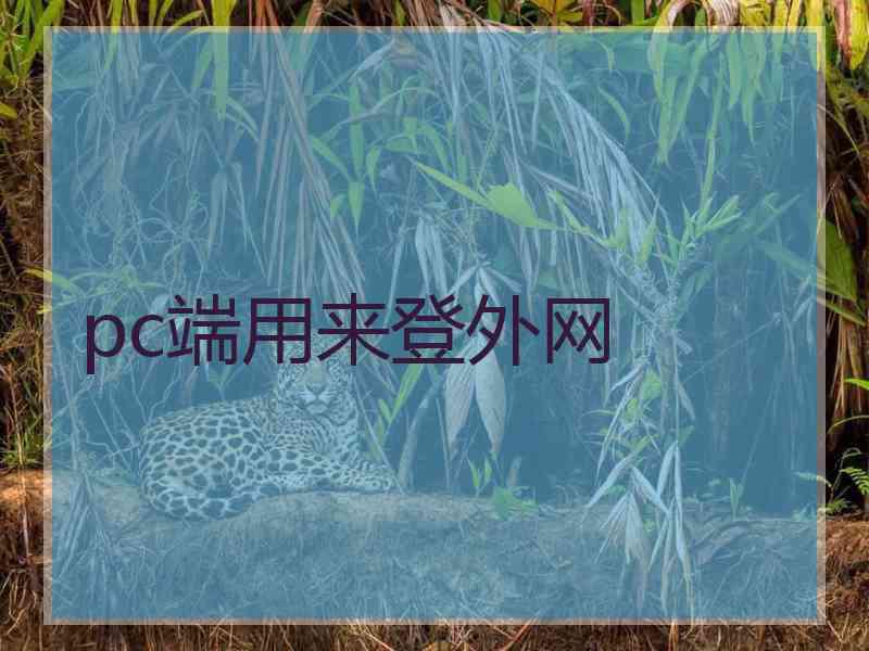 pc端用来登外网