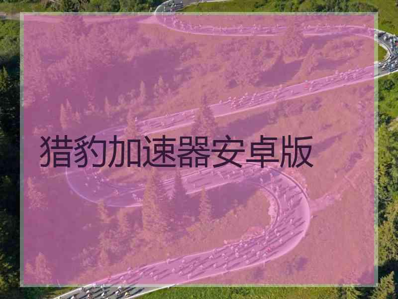 猎豹加速器安卓版