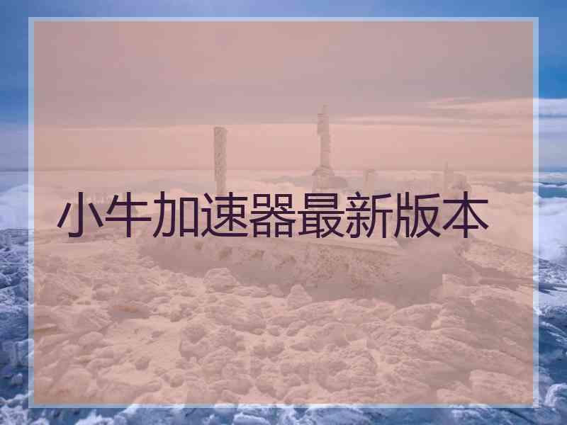 小牛加速器最新版本