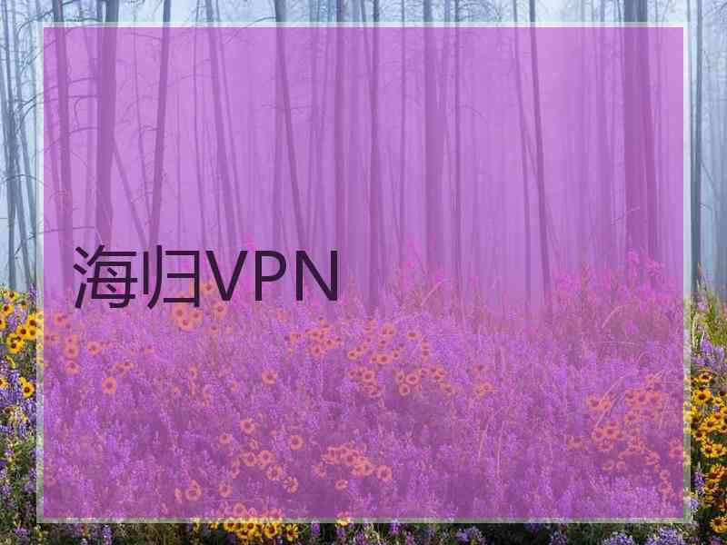 海归VPN
