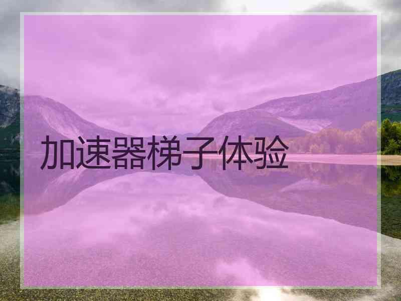 加速器梯子体验