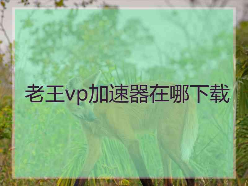 老王vp加速器在哪下载