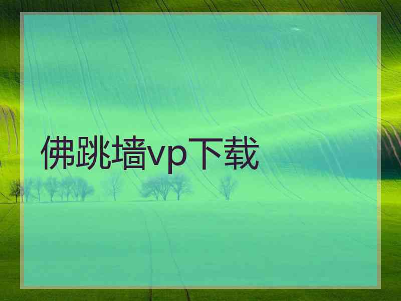佛跳墙vp下载