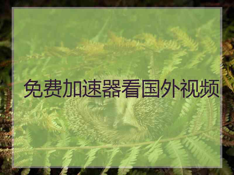 免费加速器看国外视频