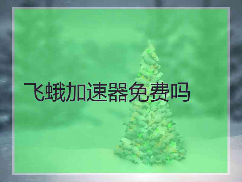 飞蛾加速器免费吗