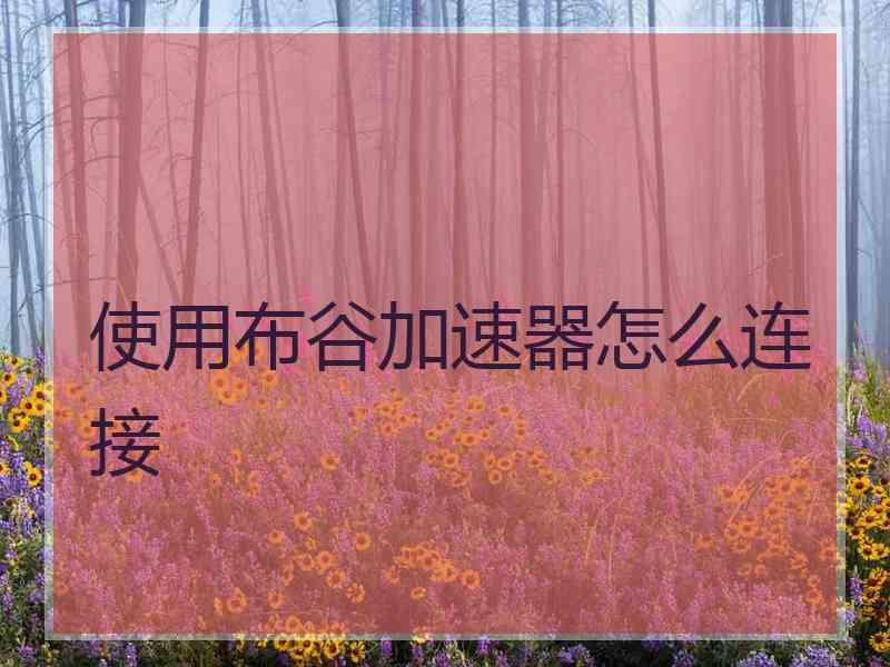 使用布谷加速器怎么连接