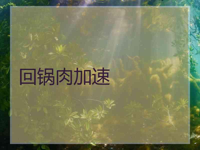 回锅肉加速