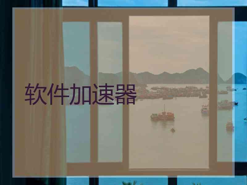 软件加速器