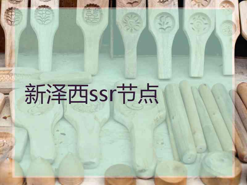 新泽西ssr节点