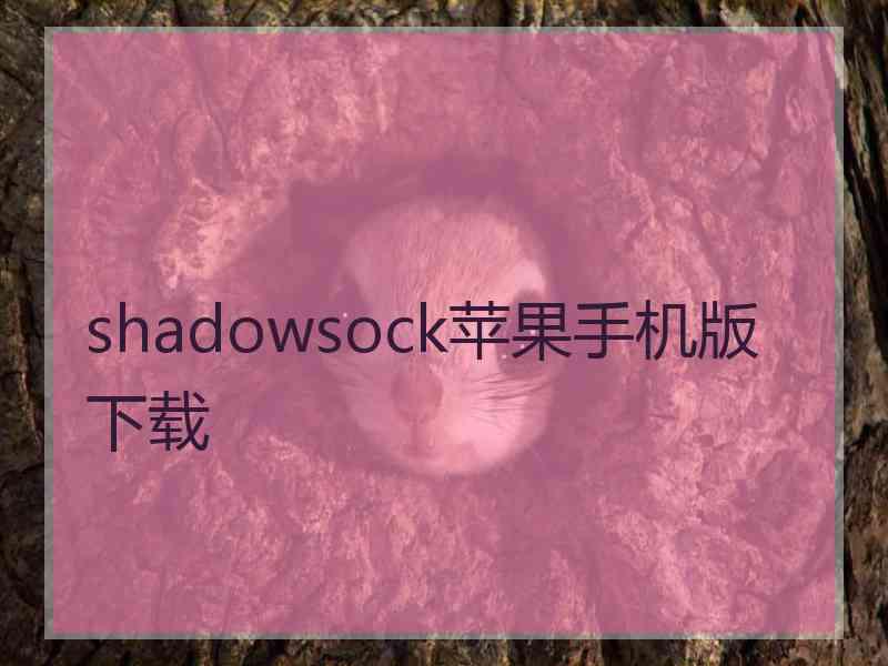 shadowsock苹果手机版 下载