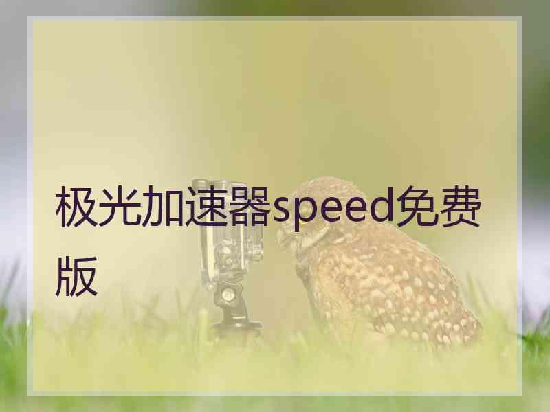 极光加速器speed免费版