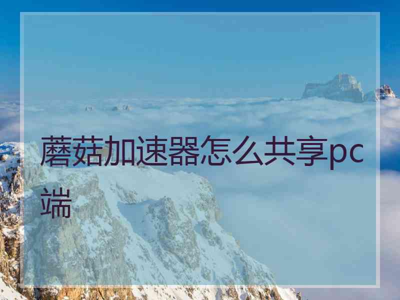 蘑菇加速器怎么共享pc端
