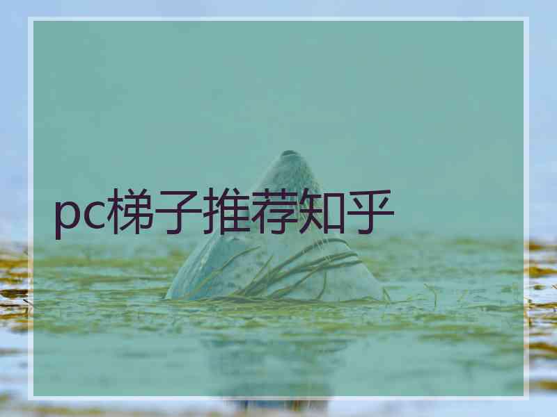 pc梯子推荐知乎