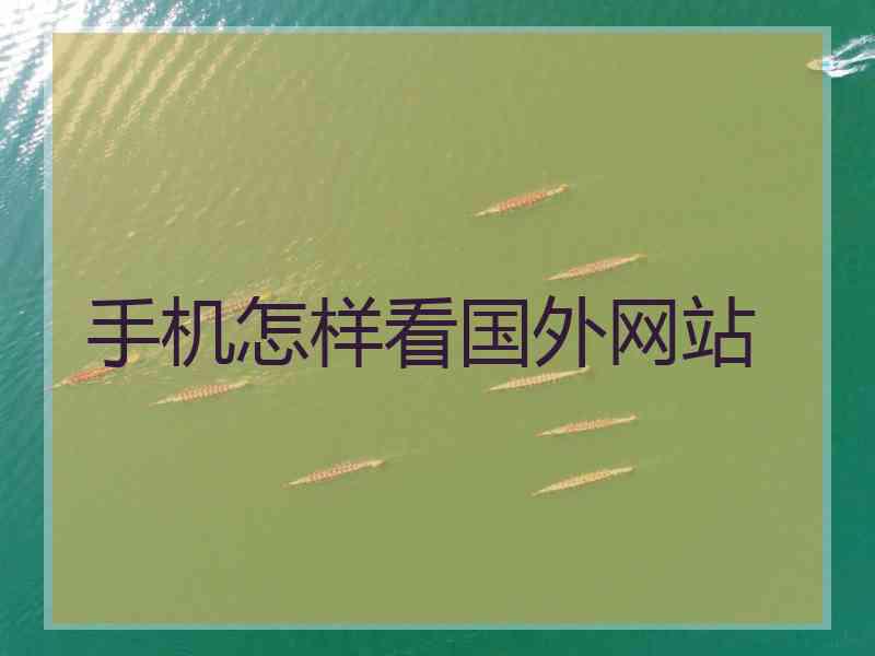 手机怎样看国外网站