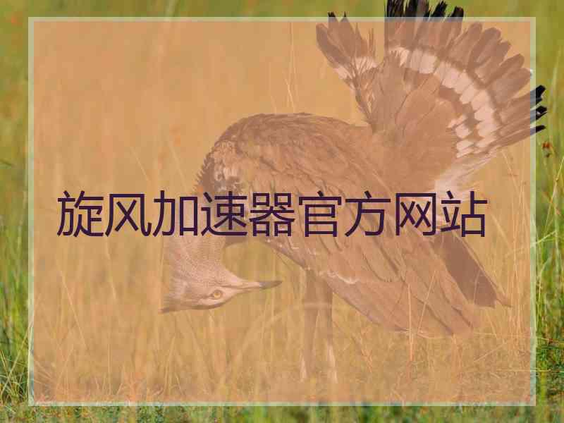 旋风加速器官方网站