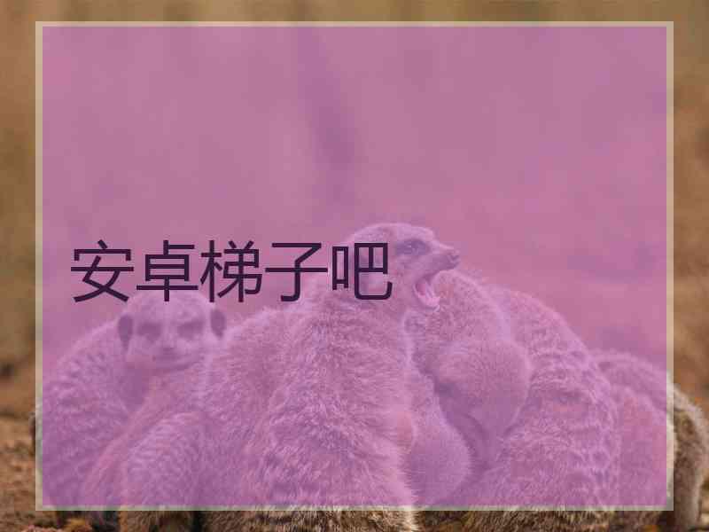 安卓梯子吧