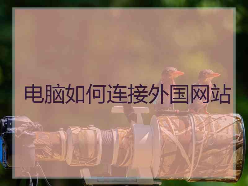 电脑如何连接外国网站