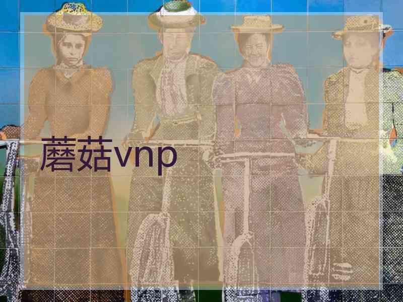 蘑菇vnp