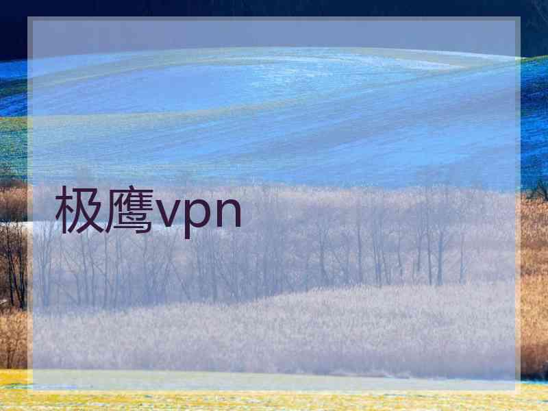 极鹰vpn