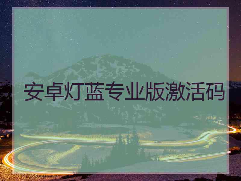 安卓灯蓝专业版激活码