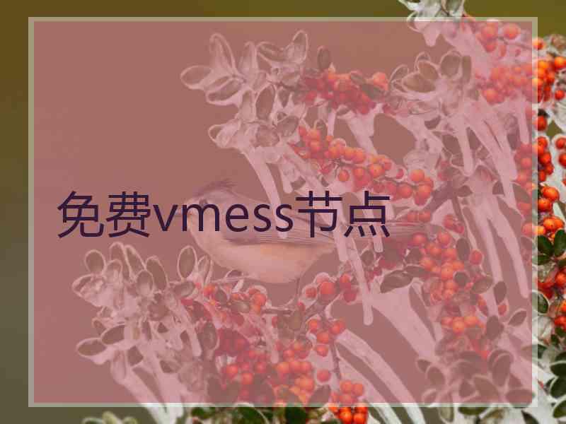 免费vmess节点