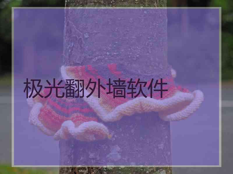 极光翻外墙软件
