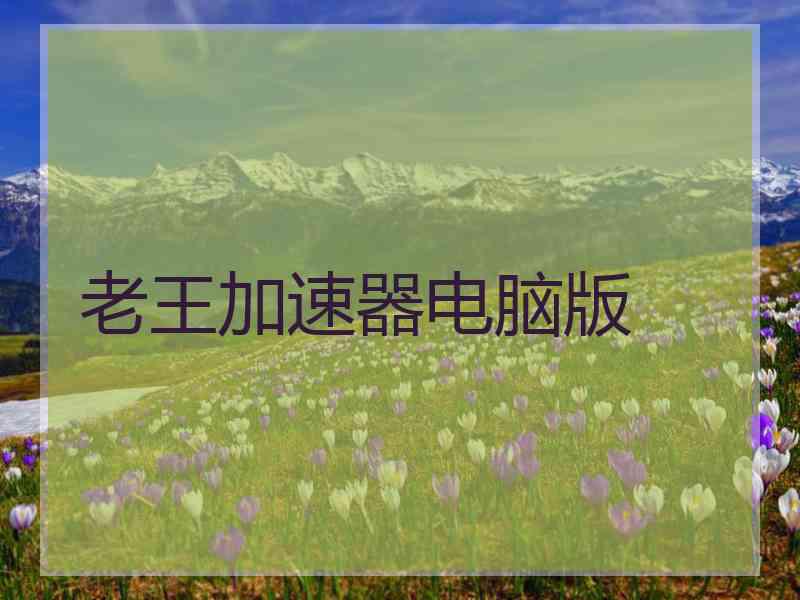 老王加速器电脑版
