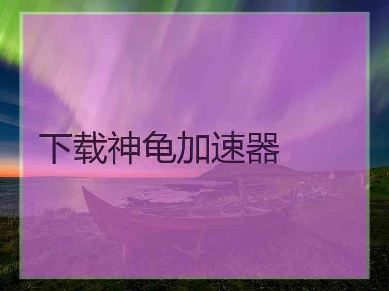 下载神龟加速器