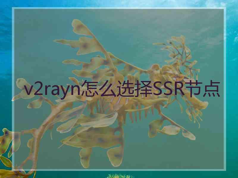 v2rayn怎么选择SSR节点