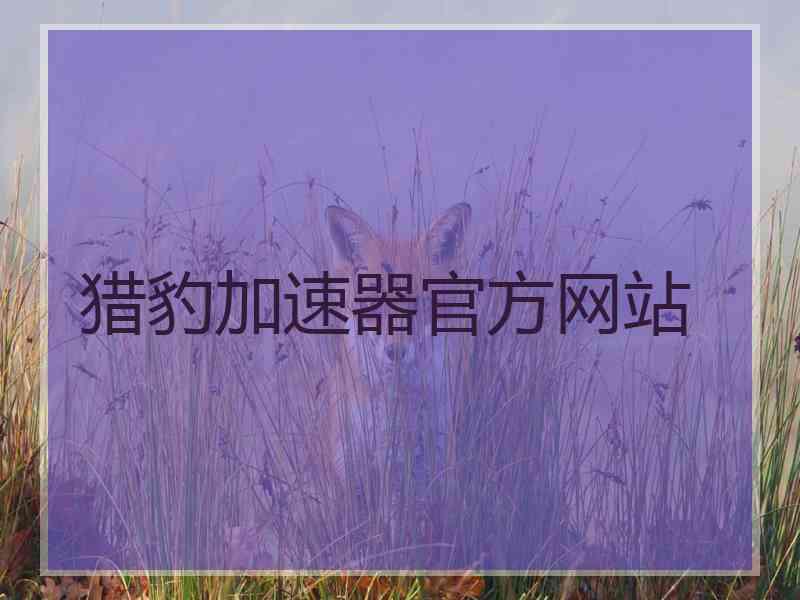 猎豹加速器官方网站