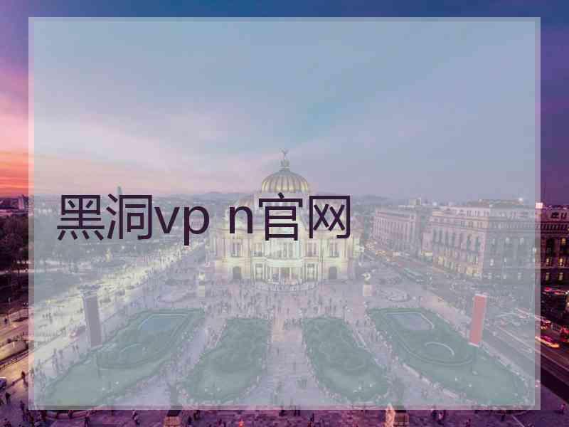 黑洞vp n官网